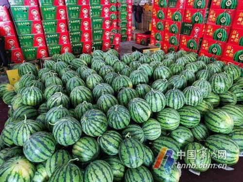 每日吃瓜大赛入口汇聚地